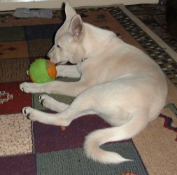 Skinning the tennis ball